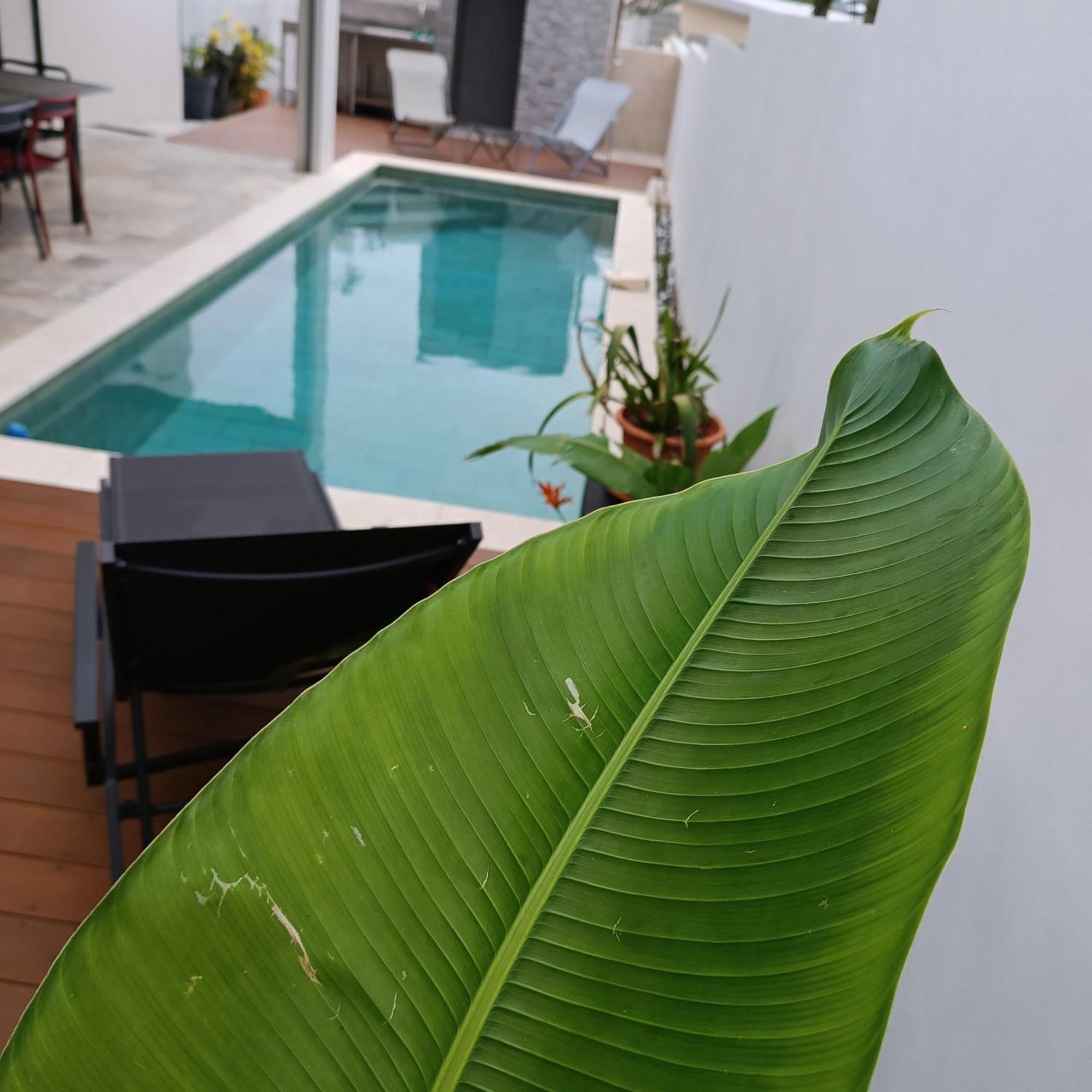 Villa O'Lhaya Piscine Pivee Saint-Joseph Exterior foto